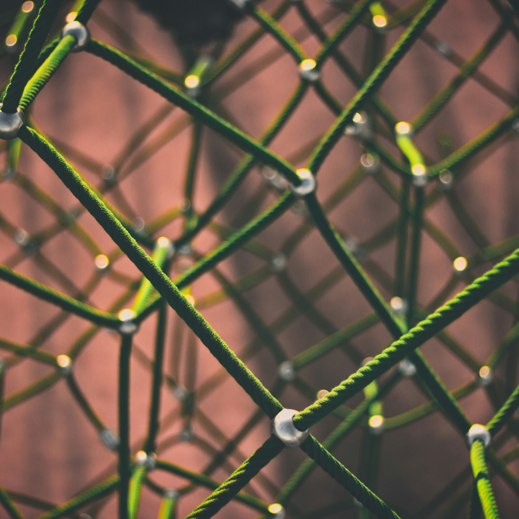 netzwerk spezialisten